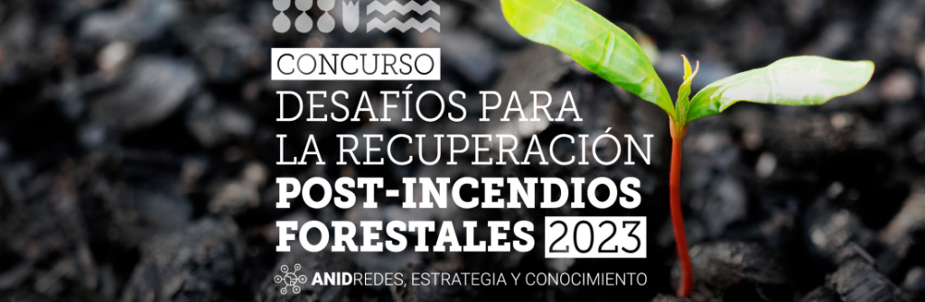 concurso desafíos