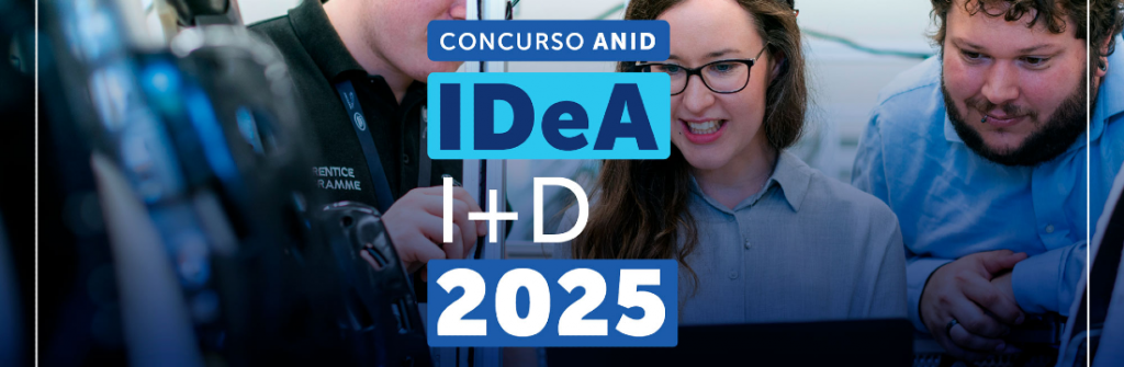 convocatoria idea 2024